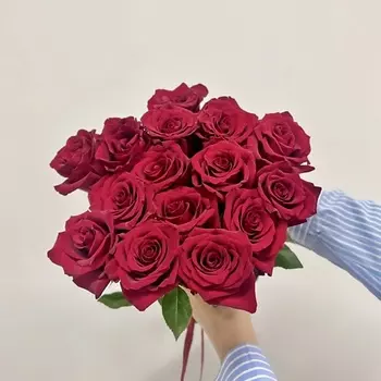 ПЯТЬ ЦВЕТОВ Букет живых цветов из 15 красных роз под ленту, Эквадор 50 см