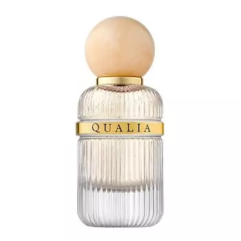 QUALIA Introvert Desire