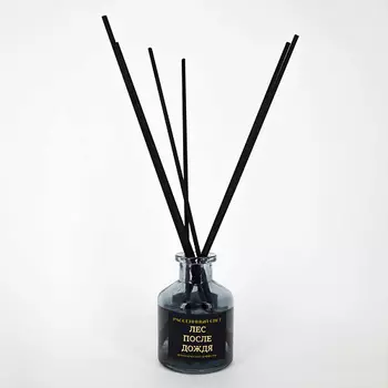 РАССЕЯННЫЙ СВЕТ Ароматический диффузор Лес после дождя
