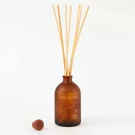 RAW AROMA Ароматический диффузор '79 с энергией свободы души 100.0