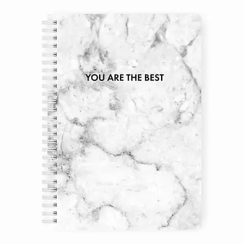 REMARKLEE Планер ежедневник "Мрамор" MyPPlanner А5