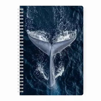 REMARKLEE Планер еженедельник "Кит" MyPPlanner А5