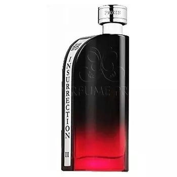 REYANE TRADITION Туалетная вода Insurrection II Dark