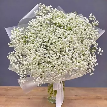 РОСА СТУДИЯ ЦВЕТОВ Облако из белой гипсофилы