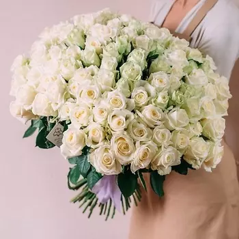 РОЗЫ УРАЛА 101 белая роза