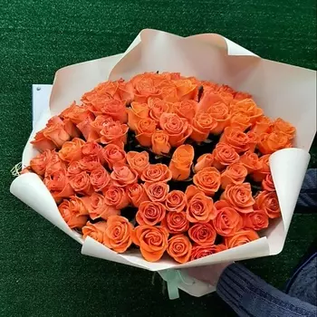 РОЗЫ УРАЛА 101 коралловая роза