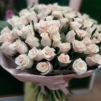 РОЗЫ УРАЛА 101 кремовая роза