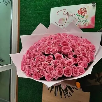 РОЗЫ УРАЛА 101 розовая роза