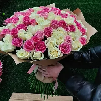 РОЗЫ УРАЛА 101 розово-белая роза