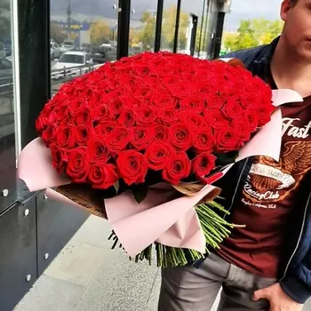 РОЗЫ УРАЛА 151 бордовая роза