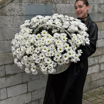 РЯБИНА ЦВЕТОЧНАЯ МАСТЕРСКАЯ Огромная корзина ромашек