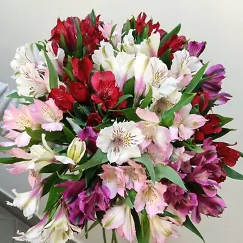 С ЛЮБОВЬЮ, РОЗА Букет из Альстрамерии