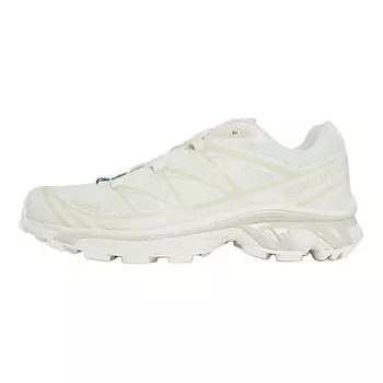 SALOMON Кроссовки XT 6 'Vanilla Ice Almond Milk'