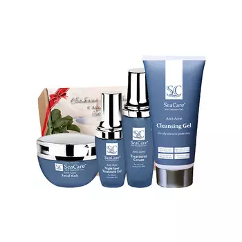 SEACARE Анти-Акне набор №11: Ночной точечный,Очищающий гели,Крем,Маска от прыщей и угрей с Акнацидол