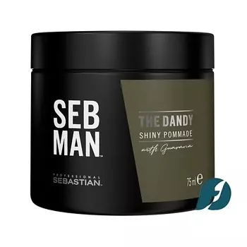 SEBASTIAN PROFESSIONAL Крем-воск для укладки волос легкой фиксации SEB MAN The Dandy Shiny Pommade 100.0