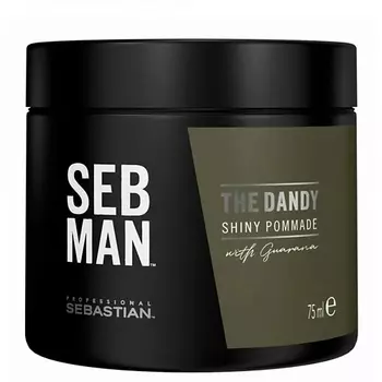 SEBASTIAN PROFESSIONAL Паста для укладки и блеска волос Seb Man The Dandy
