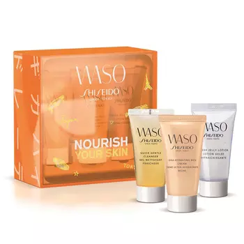 SHISEIDO Программа для ухода за кожей II WASO