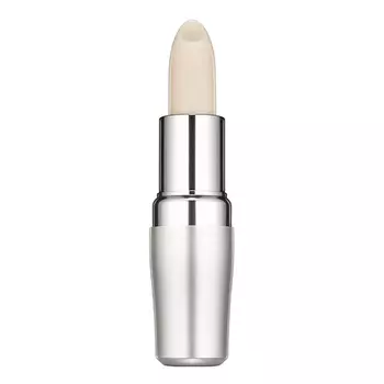 SHISEIDO Защитное средство для губ