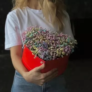 ШОПЕН Сердце из радужной гипсофилы