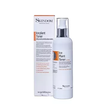 SKINDOM Тоник для лица с ледяником для жирной и комбинированной кожи 220.0