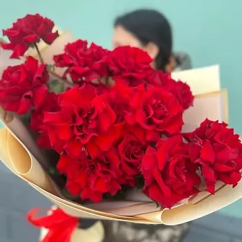 SORRYCH Букет из 17 бордовых, французских роз