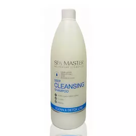 SPA MASTER Мицеллярный хелатирующий детокс шампунь для волос 330.0