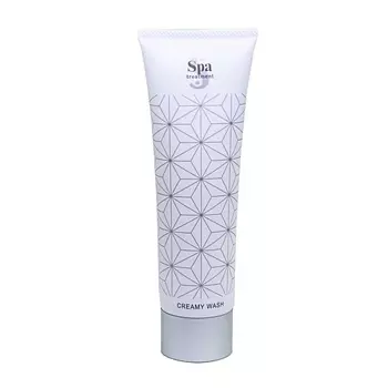 SPA TREATMENT Пенка для умывания с растительными маслами Creamy Wash G 120.0