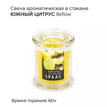 SPAAS Свеча ароматическая в стакане Южный цитрус 1