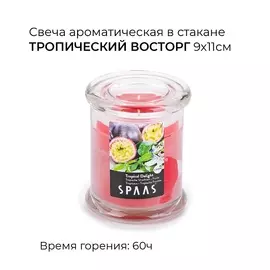 SPAAS Свеча-столбик ароматическая Цветущая магнолия 1