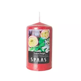 SPAAS Свеча-столбик ароматическая Тропический восторг 1