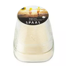 SPAAS Свеча в стакане Цитронелла Имбирная любовь 1