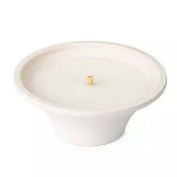 SPAAS Свеча в терракотовой чаше Цитронелла Имбирная любовь 1