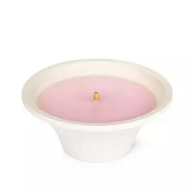 SPAAS Свеча в терракотовой чаше пыльная роза 1