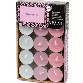 SPAAS Свечи чайные POETIC MYSTERY Мята и мандарин