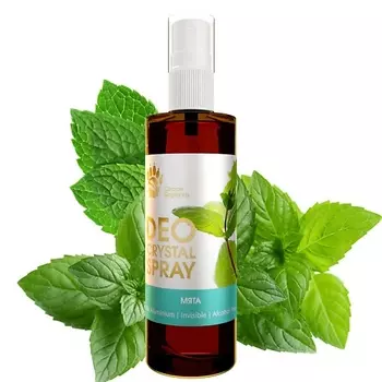 СПАСИ БАРСУКА Натуральный дезодорант квасцовый Мята 100.0