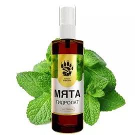 СПАСИ БАРСУКА Натуральный гидролат мяты тонизирующий,увлажняющий 100.0