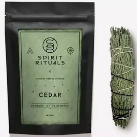 SPIRIT RITUALS Калифорнийский шалфей Mini