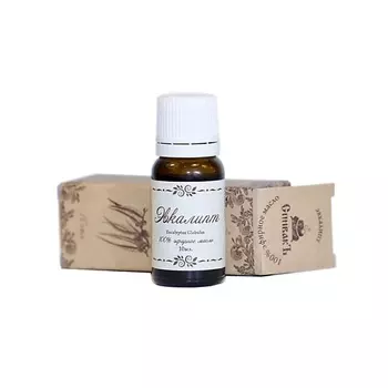 СПИВАКЪ Масло эфирное "Эвкалипт"