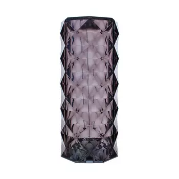 СТАРТ Светильник декоративный 2LED Crystal Rose Black