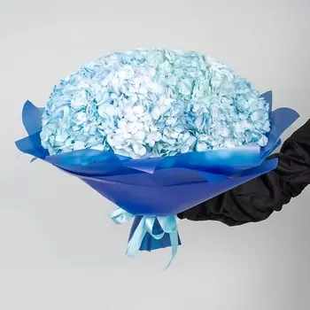 STUDIO FLORISTIC Букет Гортензий 15 шт «Нежные грёзы»