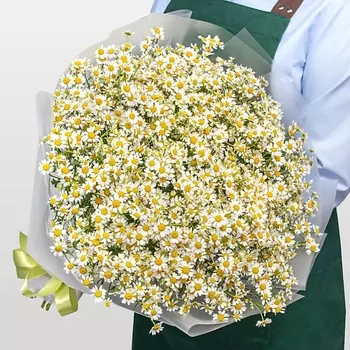 STUDIO FLORISTIC Букет из 31 Ромашки «Нежные ромашки»