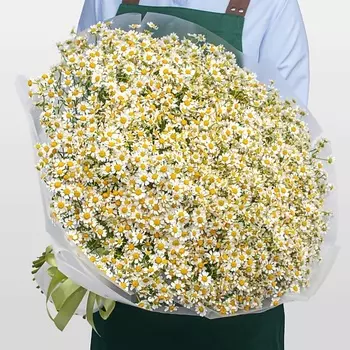 STUDIO FLORISTIC Букет из 75 Ромашек «Теплый день»
