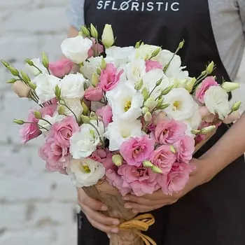 STUDIO FLORISTIC Букет из бело-розового лизиантуса "Сахарная вата"