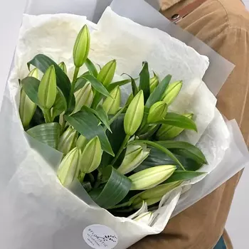 STUDIO FLORISTIC Букет из Белой лилии 5 шт «Элегантной»