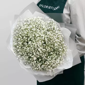 STUDIO FLORISTIC Букет из Гипсофилы 15 шт «Белая Ночь»