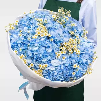 STUDIO FLORISTIC Букет из Гортензий и Ромашек «Небо в ромашках»
