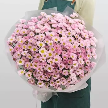 STUDIO FLORISTIC Букет из Хризантемы Сантини «Очарование»