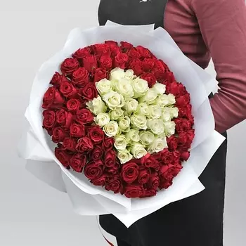 STUDIO FLORISTIC Букет из красно-белых Роз «Белла»