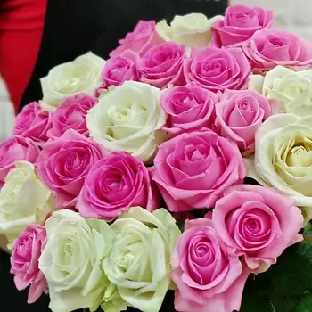 STUDIO FLORISTIC Букет из роз «Микс розово-белый» под ленту 60 см