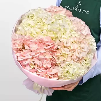STUDIO FLORISTIC Букет из розовой и белой Гортензии «Аттракционы»